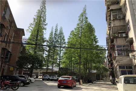 实验中学二实小附近九鑫花园68万117m2中档装修出售